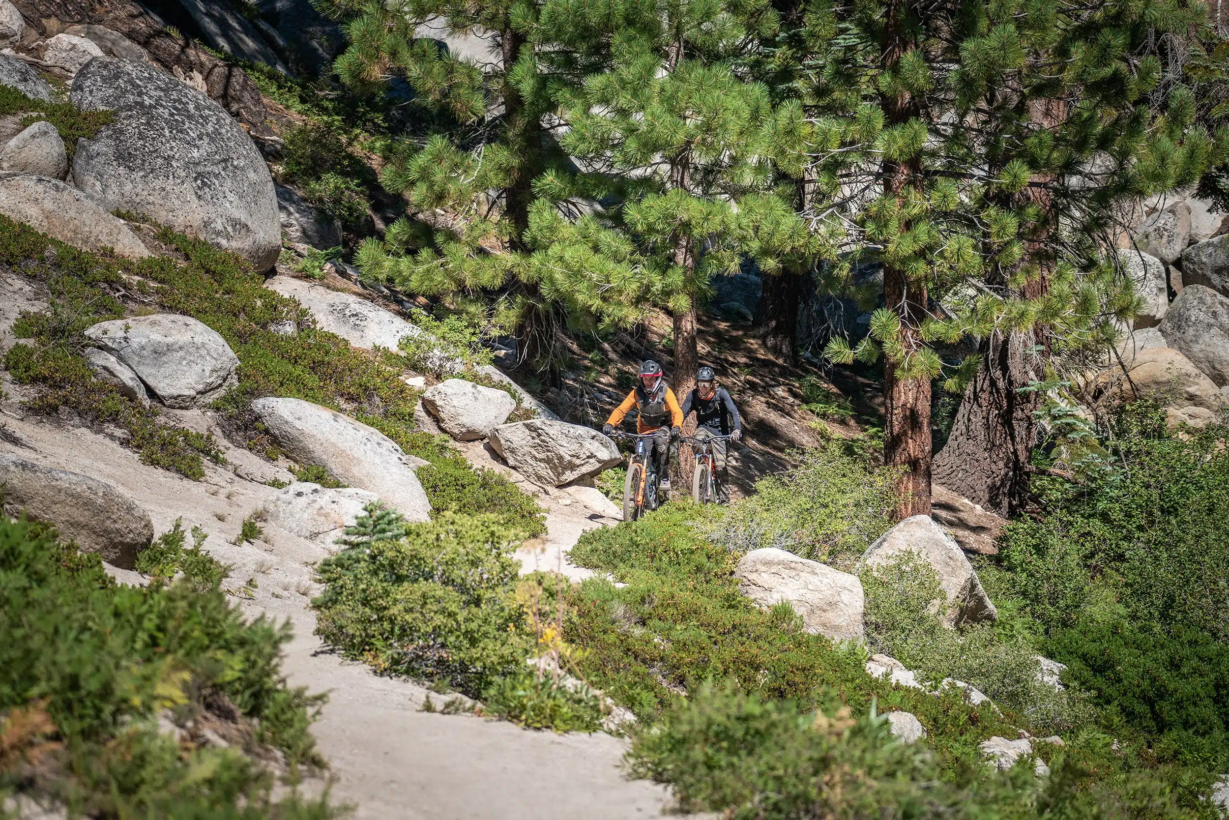 Mountain Bike Lessons & Coaching for adults in Lake Tahoe & Reno