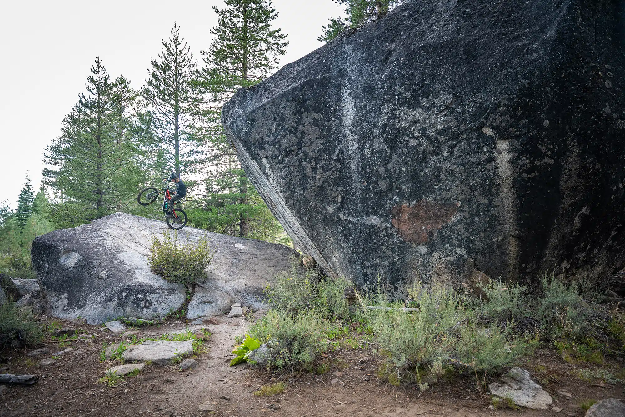 Mountain Bike Lessons & Coaching for kids in Lake Tahoe & Reno